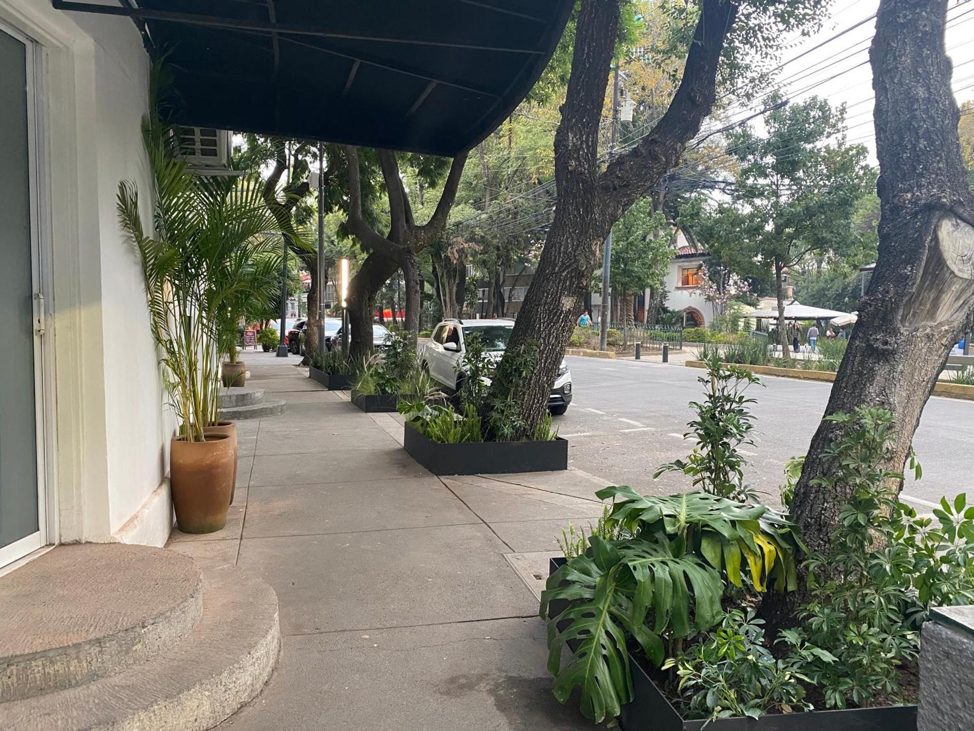 Casa Corp Boutique Suites In Condesa Μεξικό Εξωτερικό φωτογραφία